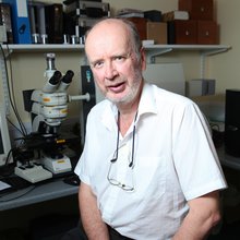 Professor Hugh Barr