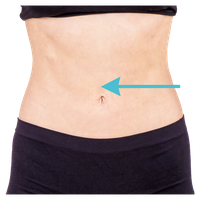 Stomach