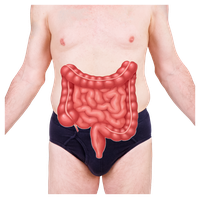A person with an illustration of intestines over their abdomen.