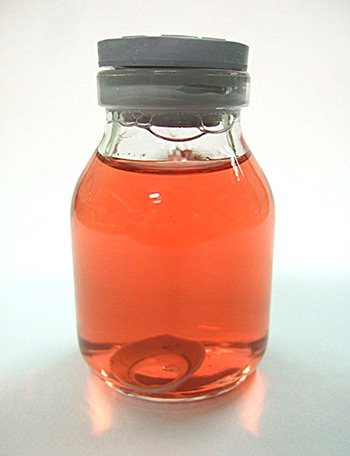 Corneal graft bottle