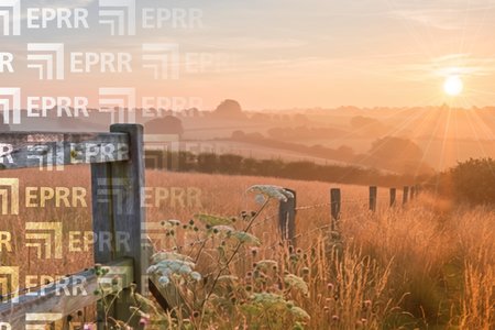 Sun rising over a rural countryside landscape with golden fields and a fence line, lit by strong sunlight to suggest hot weather or a heatwave.