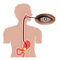 Endoscopy Camera