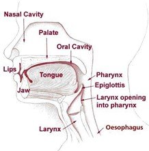 Figure 1: Where your cancer is located