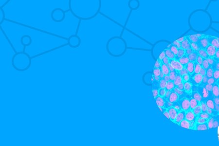 HIL-Website-Header
