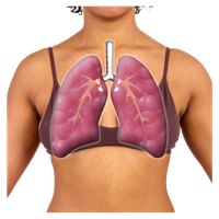 Person's chest with an illustration of lungs overlaid.
