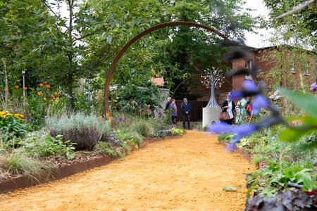 Forget me not garden - 2