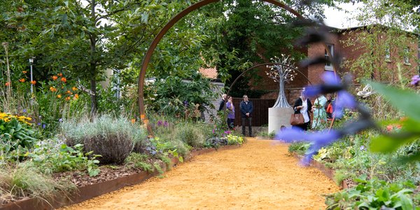 Forget me not garden - 2