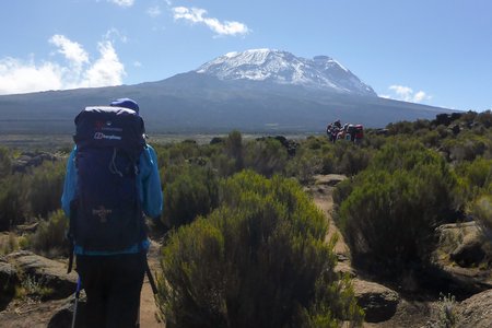 P1050053_Kili_2015