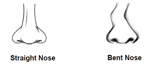 Straight & Bent Nose
