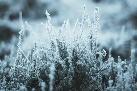 Icy conditions